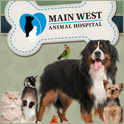 Main West Animal Hospital | Welland ON