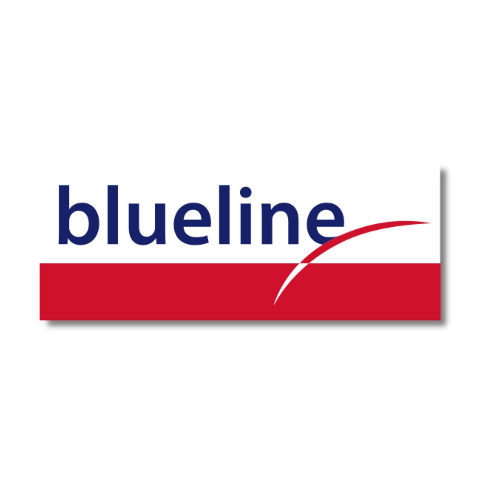 Blueline Entreprise color logo