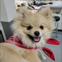 Manzano Animal Clinic