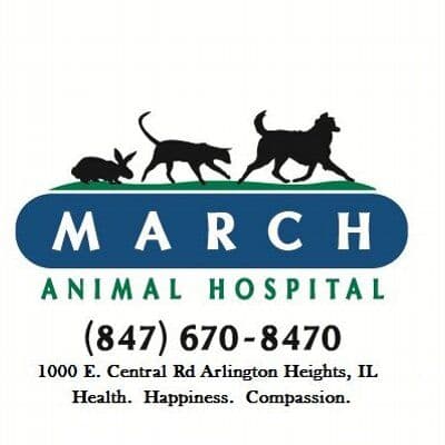 March Animal color logo
