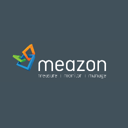 Meazon color logo