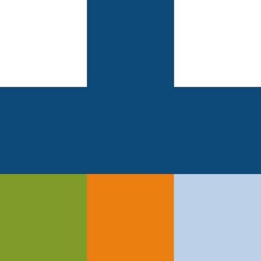 Medpets color logo