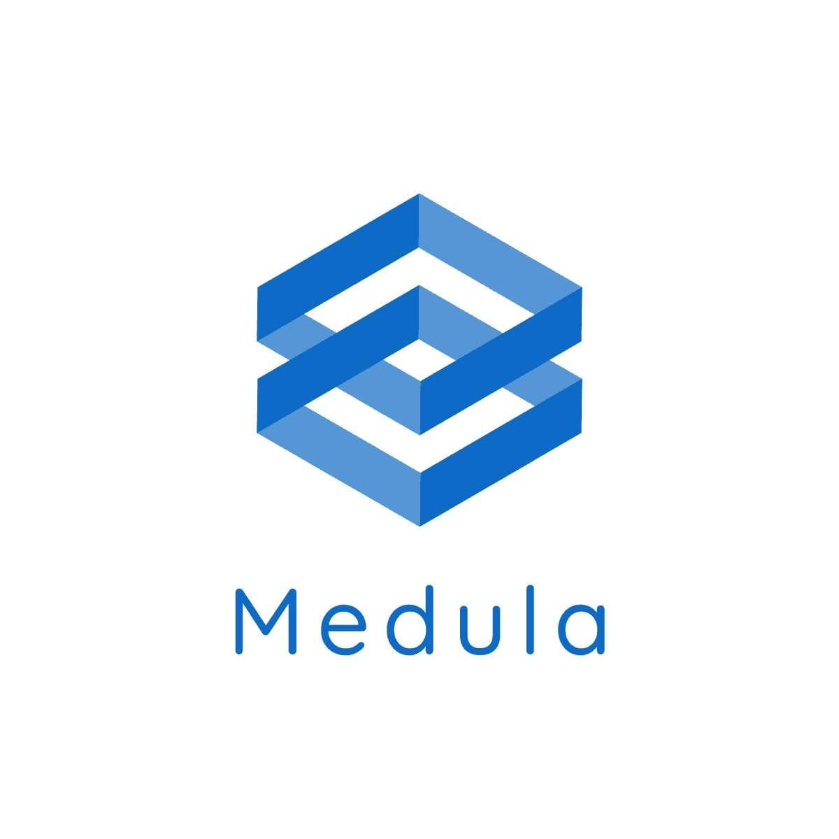 Medula LLC color logo