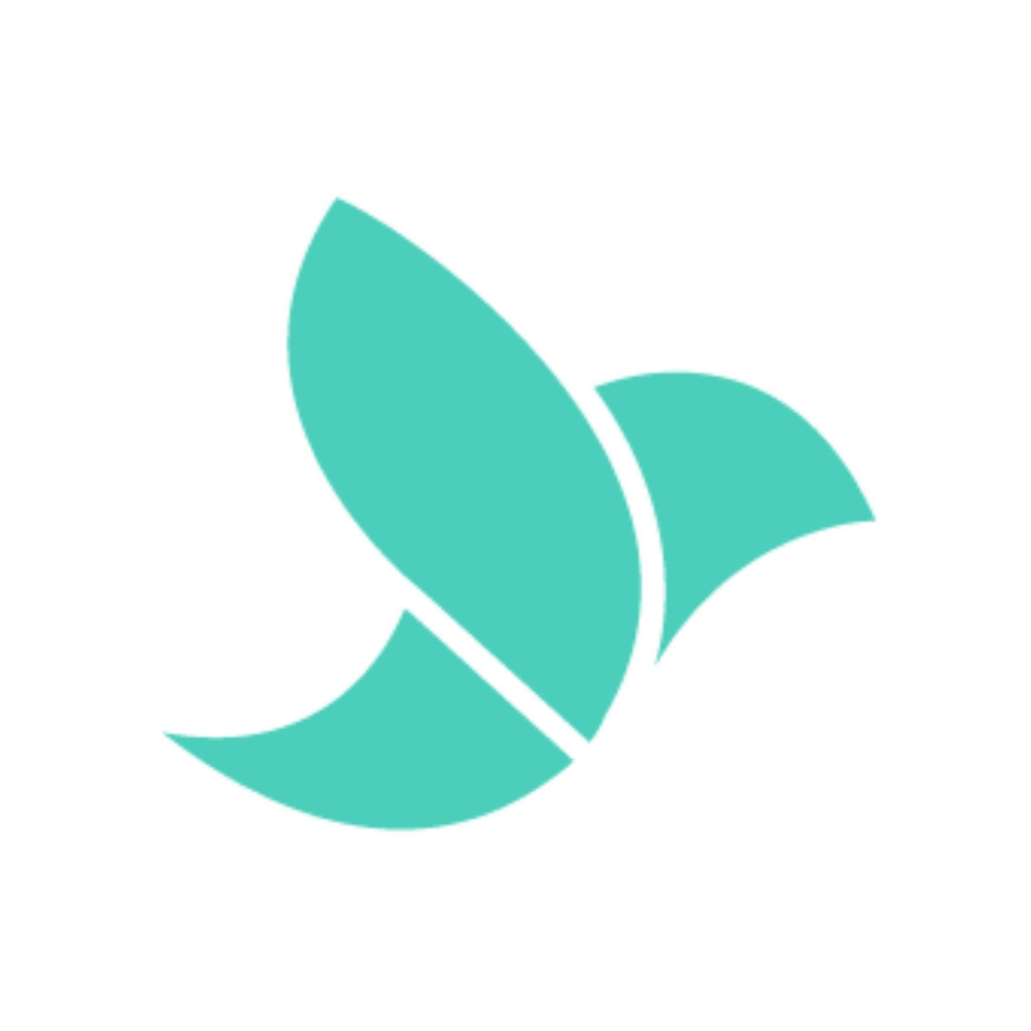 Medwing color logo