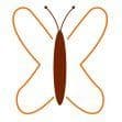 Metamorphosis MD