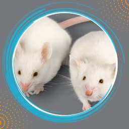 Mutant Mouse Resource & Research Centers MMRRC