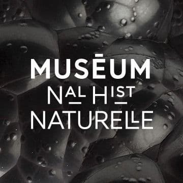 Muséum national d'Histoire naturelle color logo