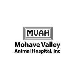Mohave Valley AH