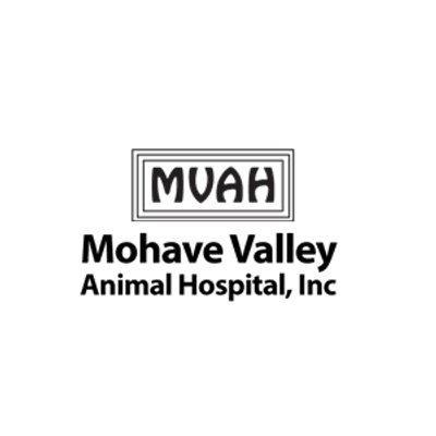 Mohave Valley AH color logo
