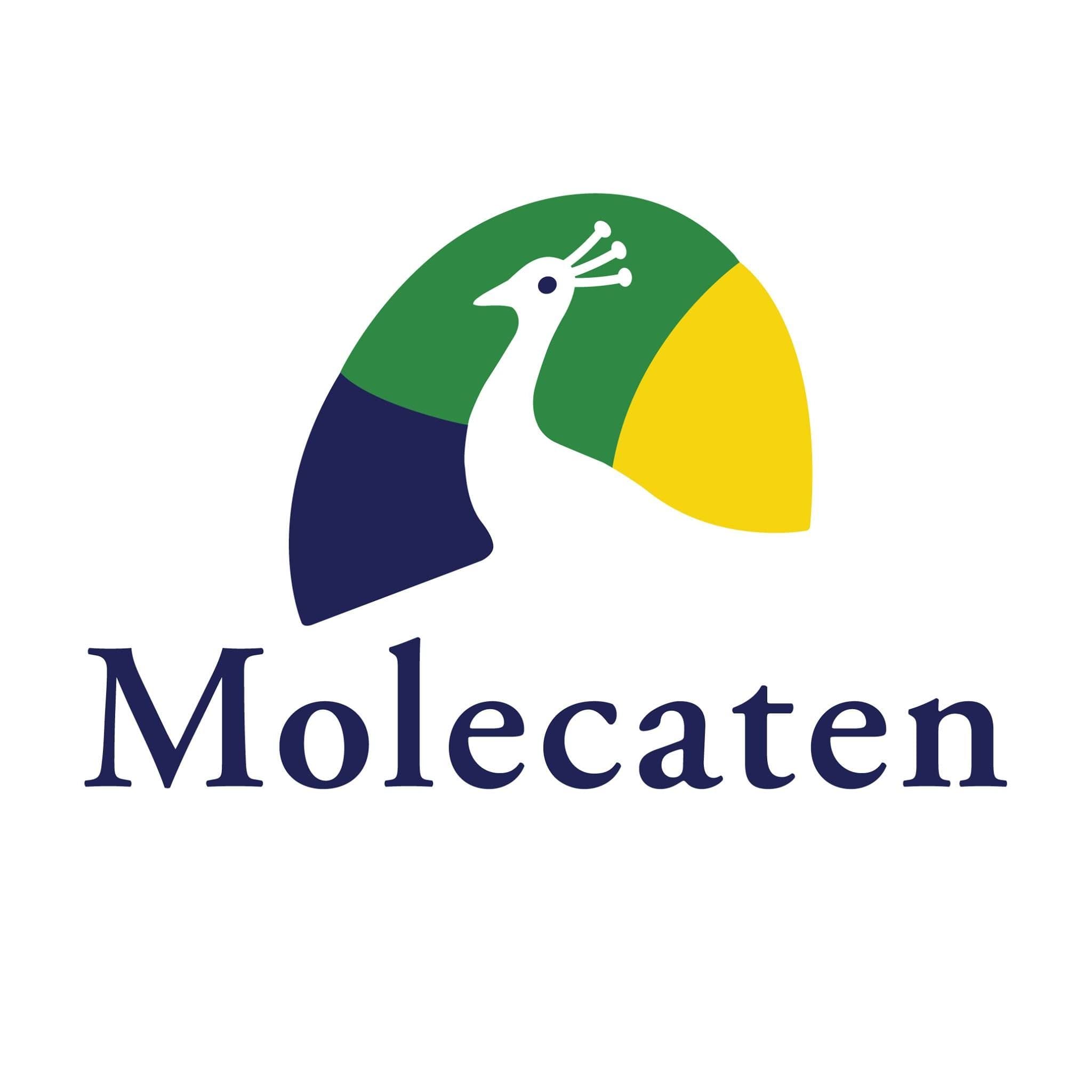 Molecaten color logo