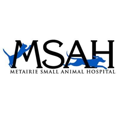MSAH color logo