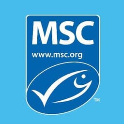MSC Blue Fish  US & Canada 🇺🇸 🇨🇦
