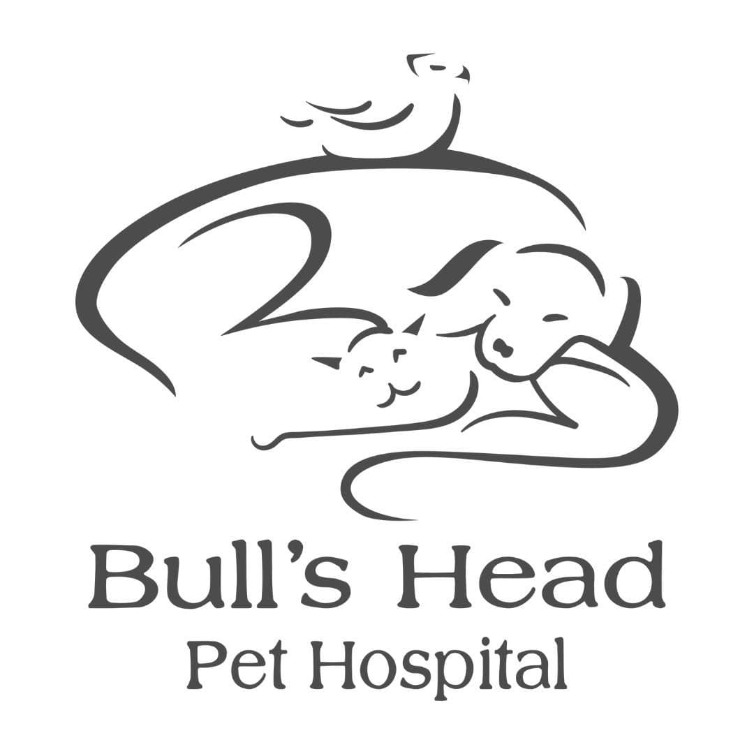 Bull's Head Pet Hospital color logo