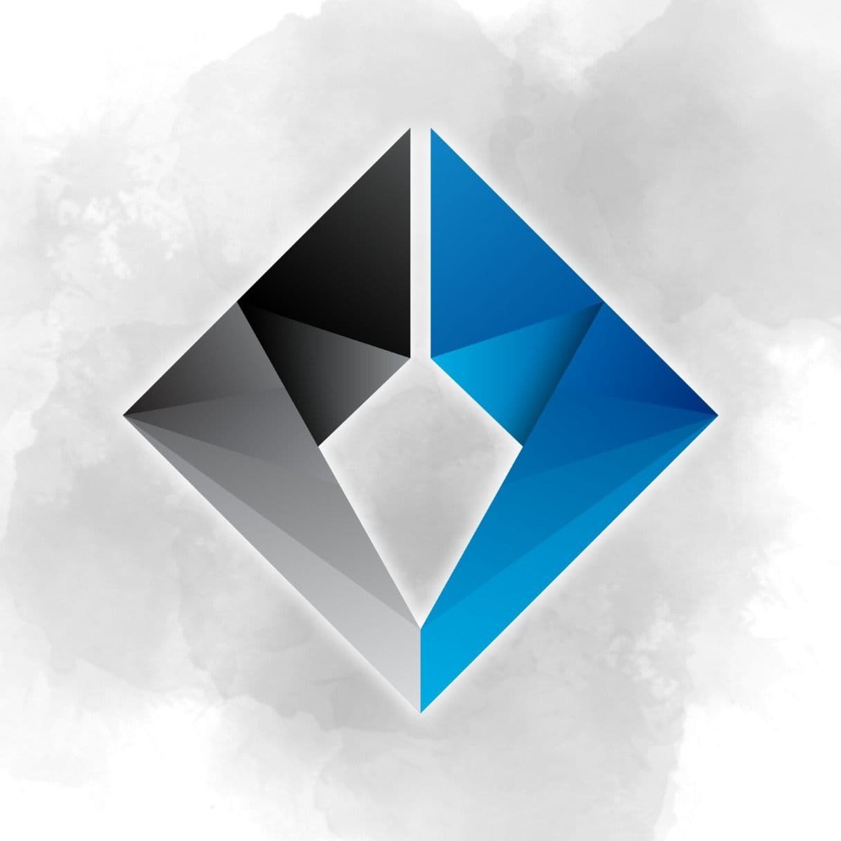 Next Level Physical Therapy color logo