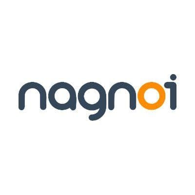 Nagnoi LLC color logo