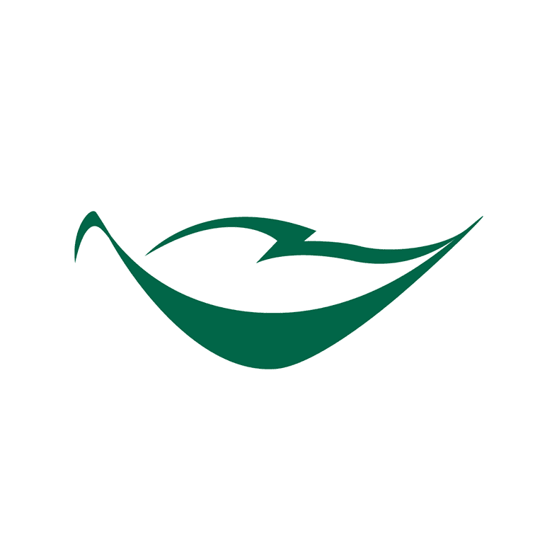 Namay Dentistry color logo