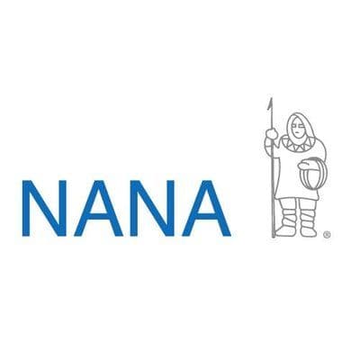 NANA color logo