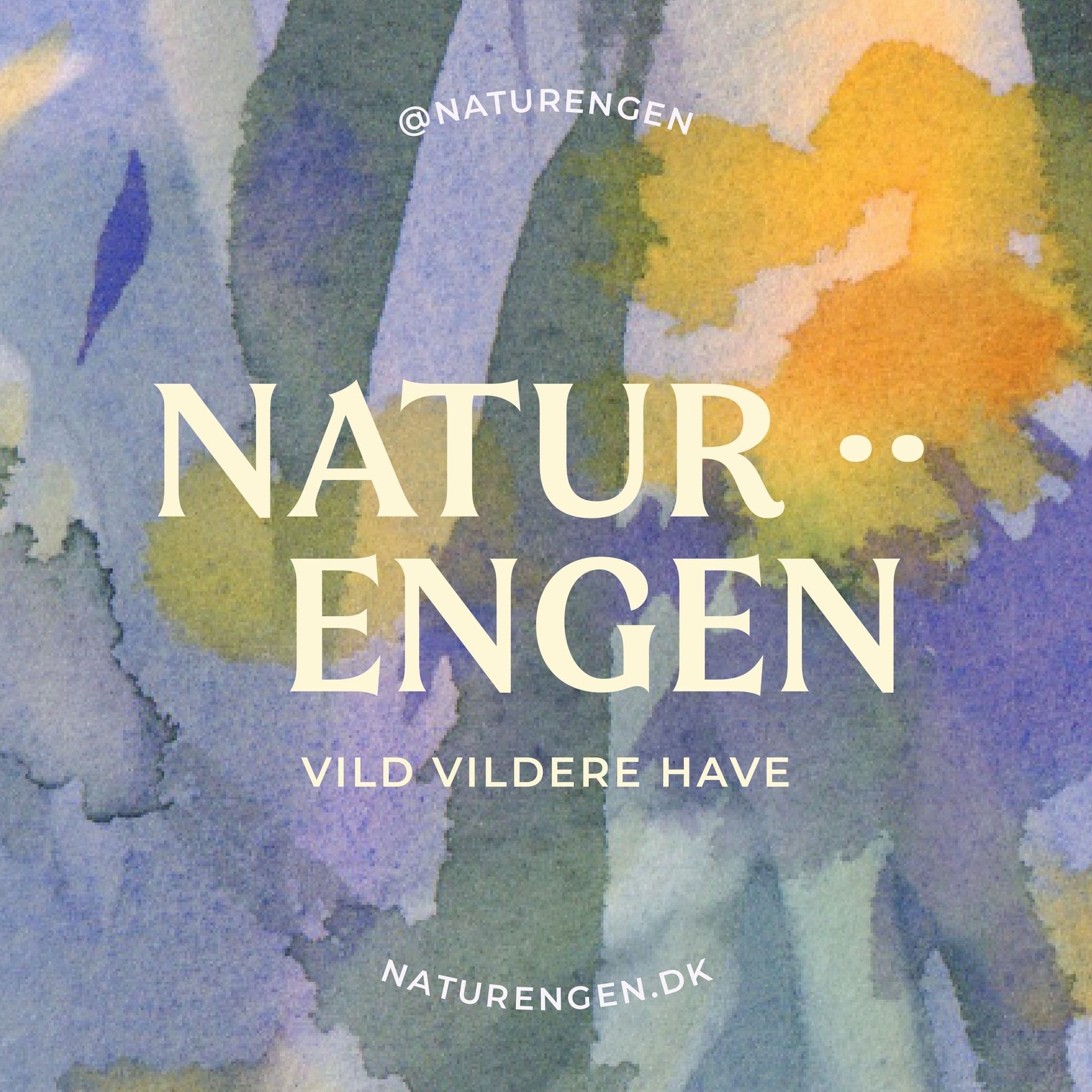 Naturengen color logo
