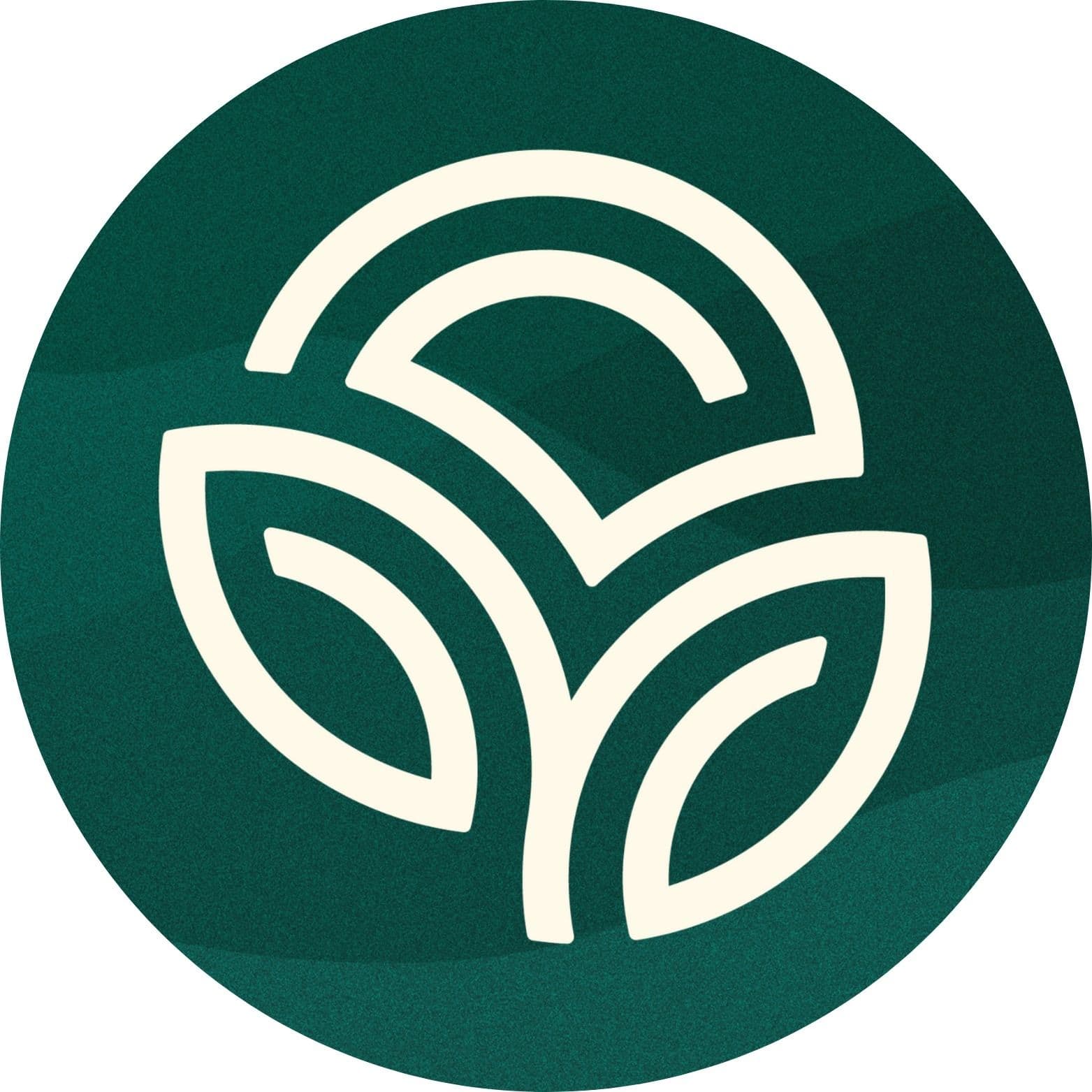 Nature's Sunshine color logo