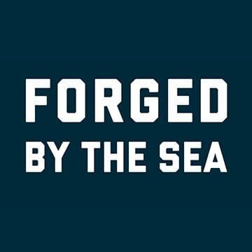 America's Navy color logo