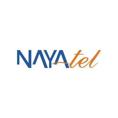 Nayatel color logo