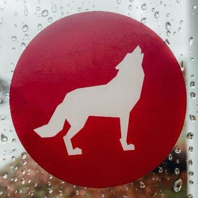 NC State University | Raleigh NC color logo