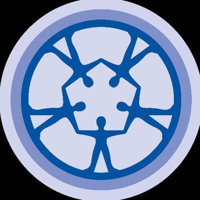 NECSI color logo