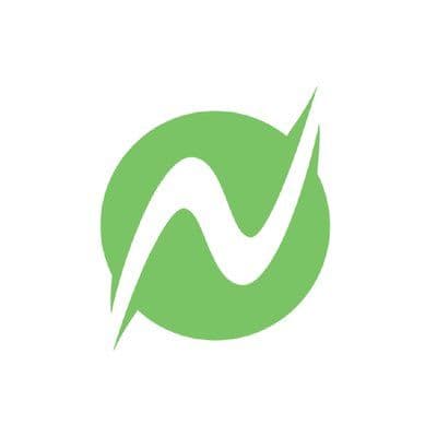 Netchex color logo
