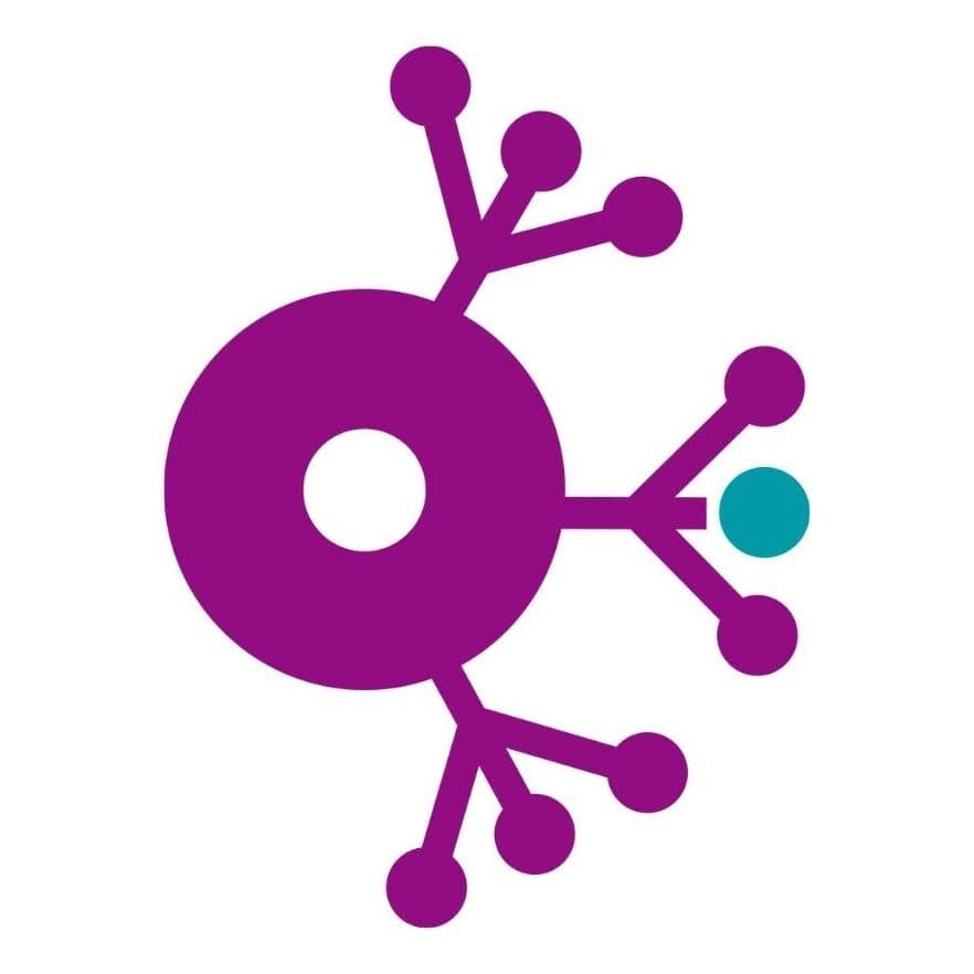 NeuroAvanza Fisioterapia color logo