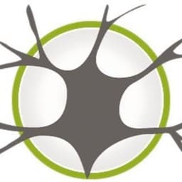 Neurocurso