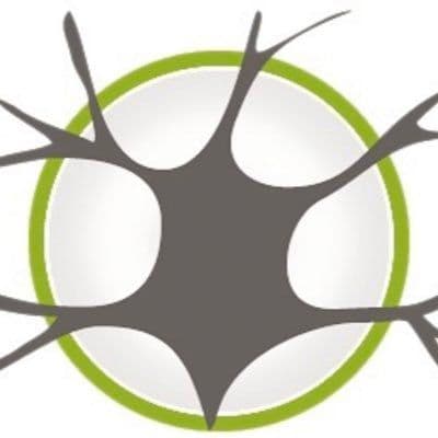 Neurocurso color logo