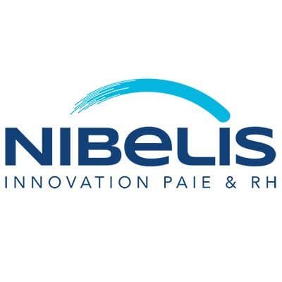 Nibelis color logo