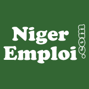 Nigeremploi.com color logo