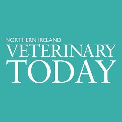 NI Vet Today color logo