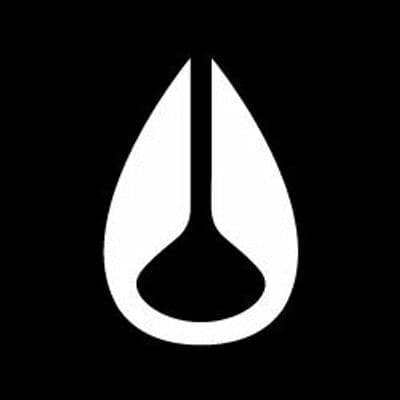 Nixon color logo