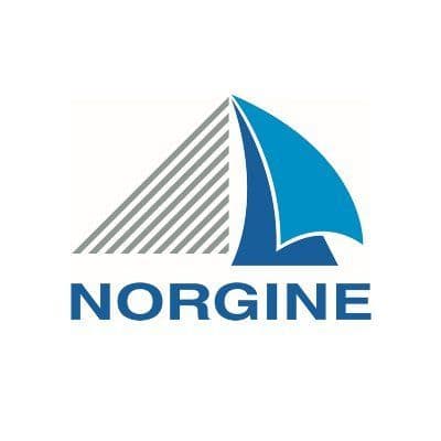 Norgine color logo
