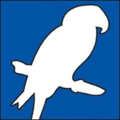 Northern Parrots color logo