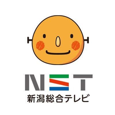 ＮＳＴ 新潟総合テレビ color logo