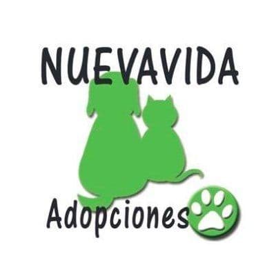 NUEVA VIDA ADOPCIONES color logo