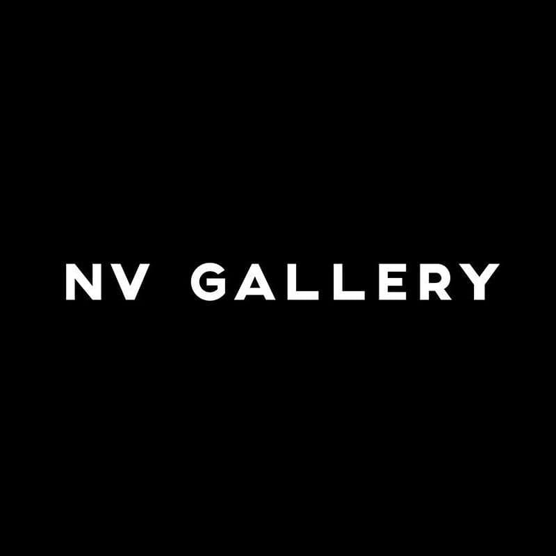 NV GALLERY color logo