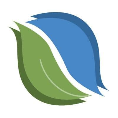 NYFalls color logo