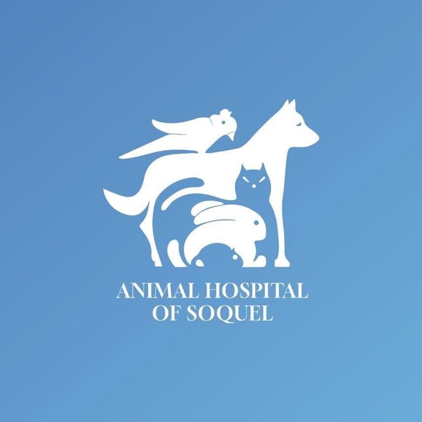 Animal Hospital Of Soquel color logo