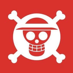ONE PIECE.com