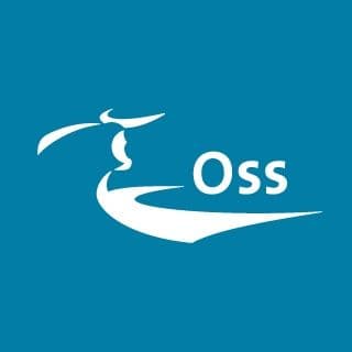 Gemeente Oss color logo