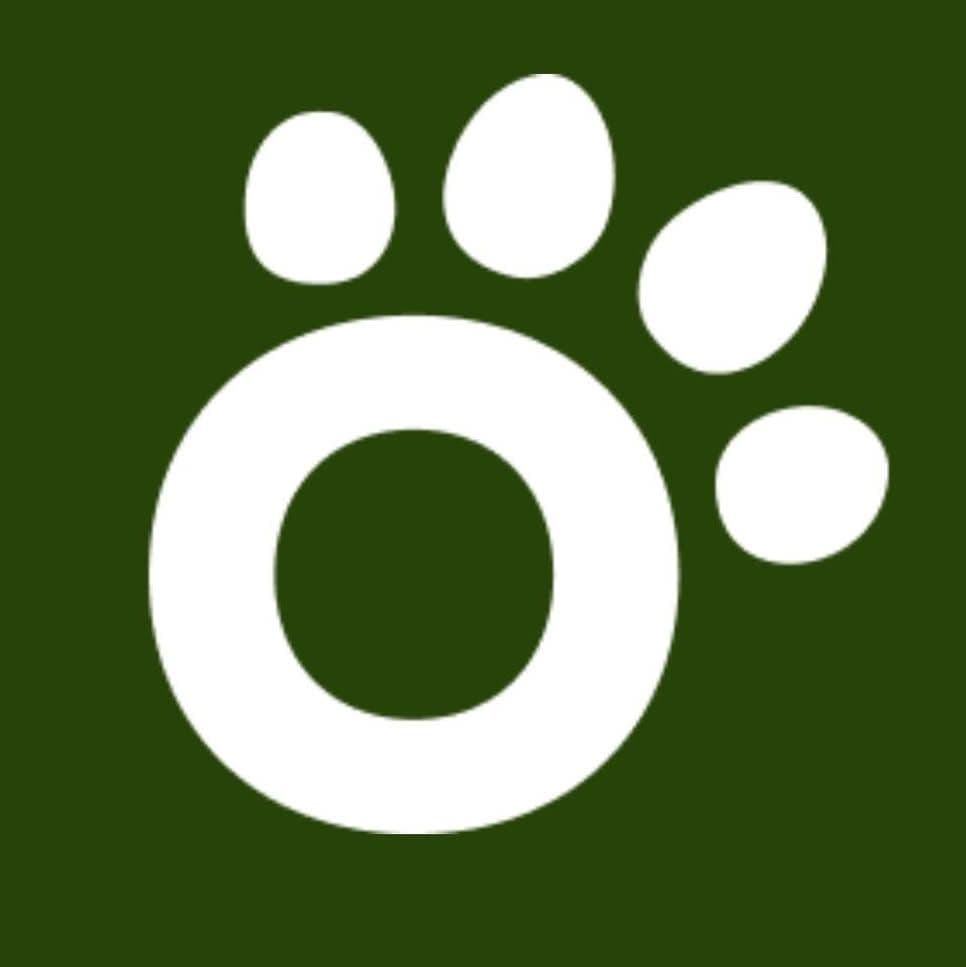 Otto color logo