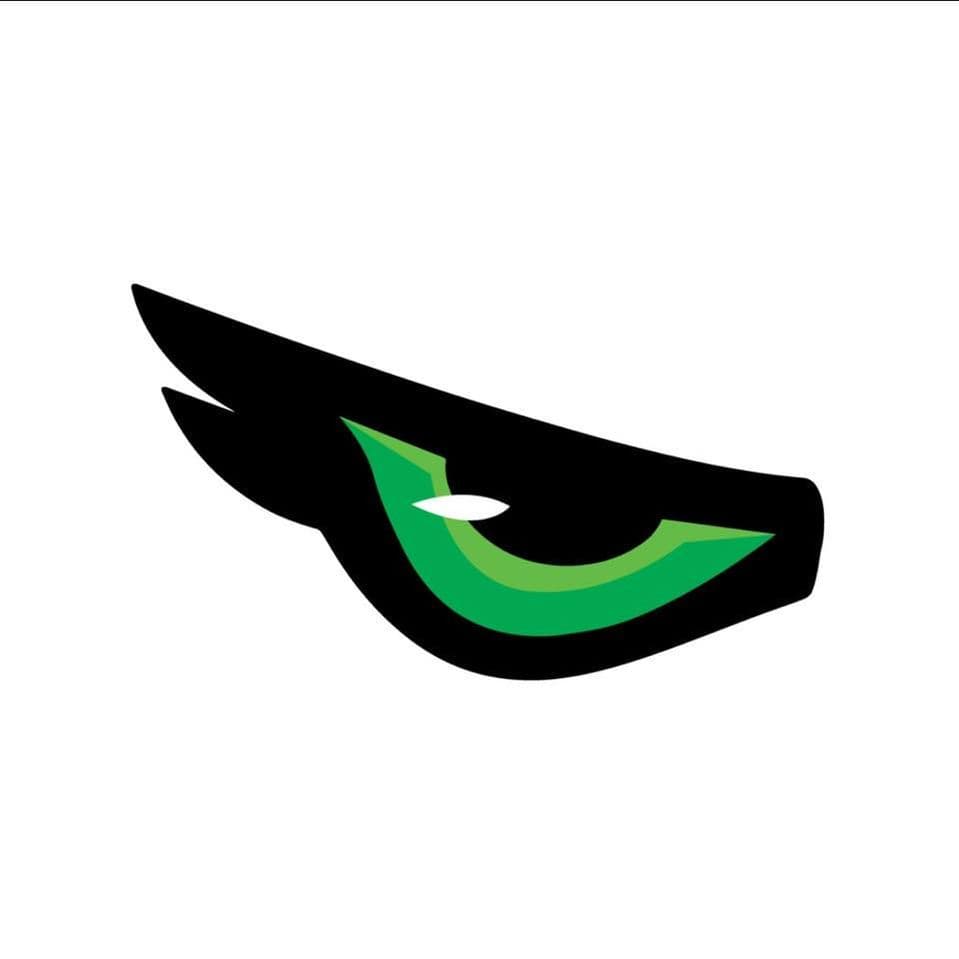 OwlEye Landscaping color logo