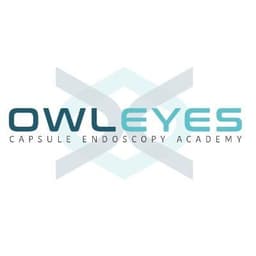 Owl Eyes Academy