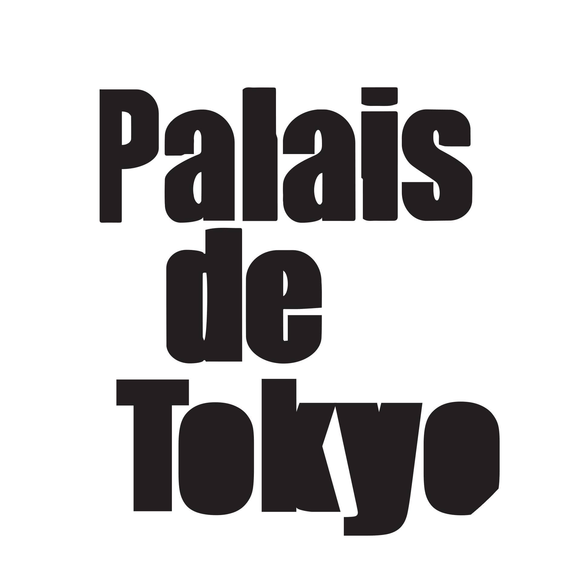 Palais de Tokyo color logo