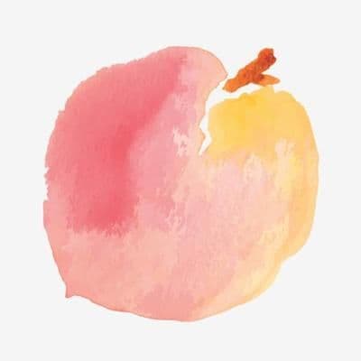 PeachMode color logo