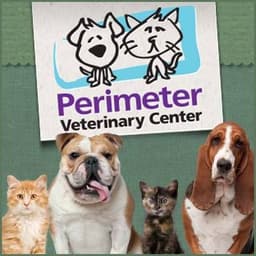 At Perimeter Veterinary Center